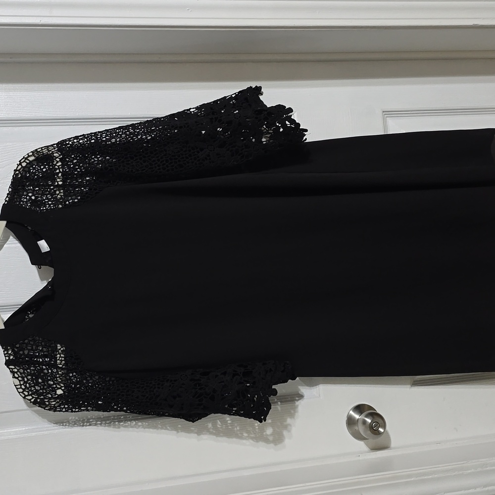 Elegant Black Dress with Lace Sleeves